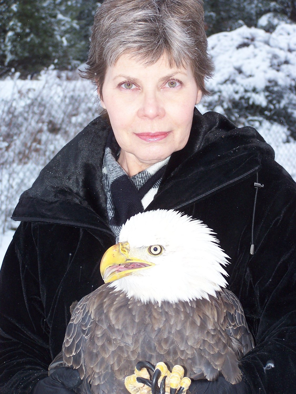 Stephanie Streeter co-founded the Delaware Valley Raptor Center in Milford, PA with her husband, Bill, where she ran day-to-day operations related to raptor rehabilitation and conservation, chaired the board of directors and wrote for and edited the center’s informative publication, the DVRC Journal. ..